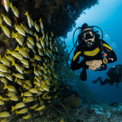 Underwater Adventures