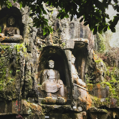 Footsteps of Lord Buddha Tour