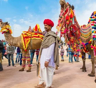 Colour of Rajasthan